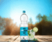 zero tonic